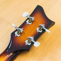 Back of vintage electric bass head