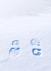 trail of shoes in the snow, tread in the snow