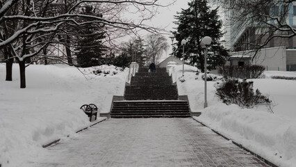 Snow Covered City Park Walkway Framed By Leafless Trees And Concrete Stairs, Benches Dusted With Fresh Snow, Muted Lamp Posts Lining Path Under Overcast Gray Sky, Faint Footprints Leading