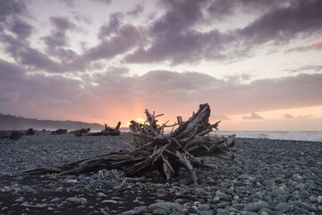 View of driftwood resting on a rocky beach under a sky painted with hues of purple and orange at sunset, Christchurch, West Coast Region, New Zealand.