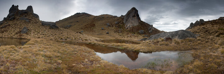 View of stark rock formations rise from golden tussock grass, mirrored in tranquil pools under a brooding sky, Christchurch, West Coast Region, New Zealand.