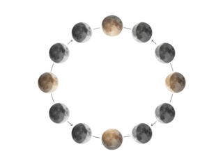 Moon Phases Cycle: Full Moon, Crescent, Quarter, Gibbous Stages Isolated on Transparent Background 