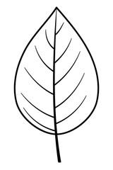 Fototapeta premium Leaf png doodle sticker, black & white illustration, transparent background