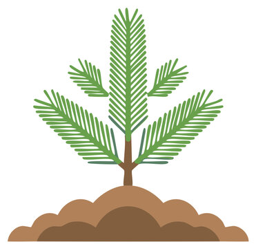 Simple illustration of a new pine sapling growing in a mound of soil