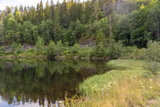 View of tranquil waters reflecting the vibrant green forest under the warm sunlight, nature's embrace unfolds in a serene landscape, Dalen, Telemark, Norway.