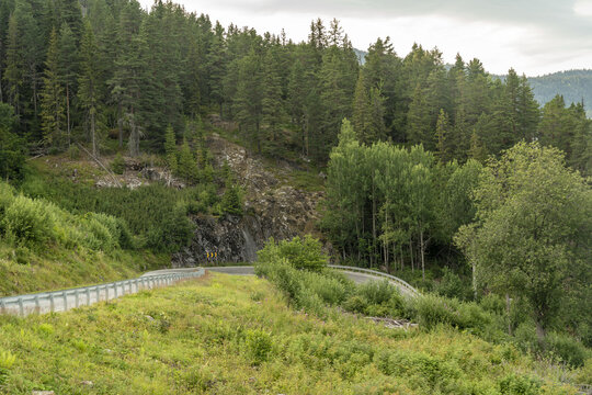 View of a winding road cuts through a vibrant green hillside, flanked by a dense forest under a soft, overcast sky, Dalen, Telemark, Norway.