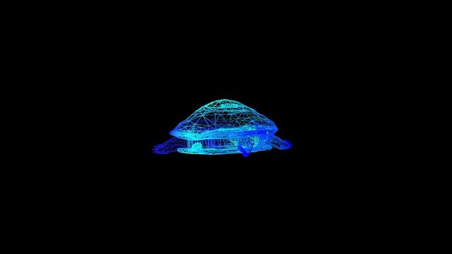 Abstract blue neon wireframe turtle rotating on black background 3D plexus animal animation