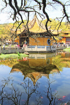 Puji Temple Mount Putuo Zhoushan China Water Reflection