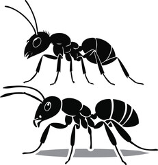 Minimalist vector sticker of an ant side view, clean thin outline, flat modern icon style, white background, corporate concept illustration