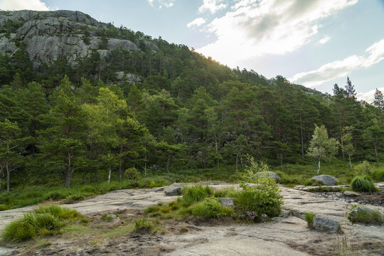 View of a lush, green forest clinging to rugged, grey cliffs under a bright, airy sky, a serene blend of nature's textures and colors, Lysefjord, Rogaland, Norway.