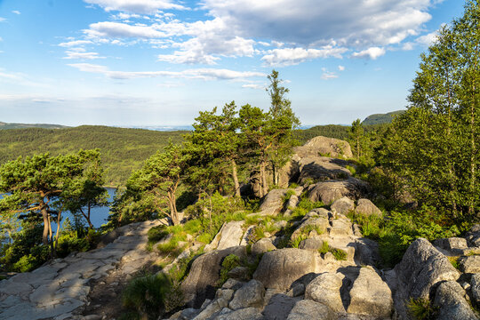 View of rugged rocks and verdant trees meet the sky in a vibrant landscape, offering a glimpse of serene blue waters, Lysefjord, Rogaland, Norway.