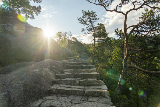 View of stone steps ascend a rocky incline under a radiant sun, framed by lush green trees and foliage, creating a path to adventure, Lysefjord, Rogaland, Norway.