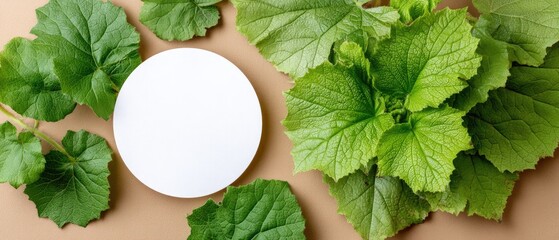 A white circle is surrounded by green leaves on a beige background with space for text or graphics in a simple layout
