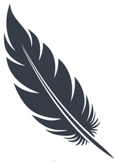 Obraz premium Detailed feather graphic illustration with quill, and barbs element