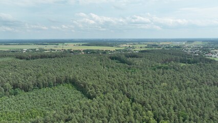 Fototapeta premium Aerial View of Expansive Forest and Open Fields