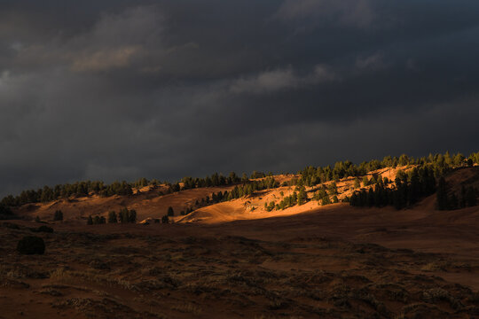 View of a golden swathe of sunlight illuminating the dunes beneath a brooding sky, casting long shadows across the landscape, Kanab, Utah, United States.