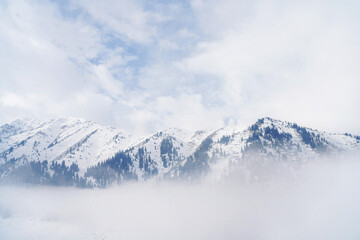 Snowy Dattarigal Mountains in Kazakhstan with Misty Forests