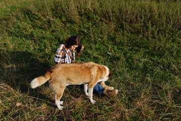 Fototapeta premium Person crouching beside a dog in a grassy field, enjoying nature during an outdoor stroll, casual clothing, warm sunlight, peaceful countryside moment