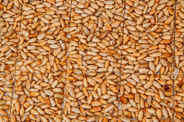 Close-up texture of sweet sunflower seed brittle squares, a delicious snack
