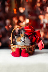 a fluffy playful kitten with red hearts and a Valentine's Day bow on a shiny background lies in a wicker basket