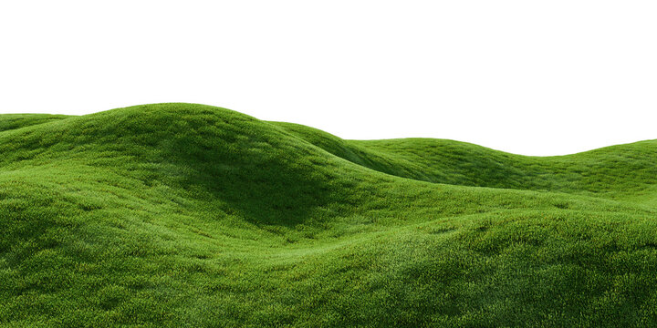 Green grass hills