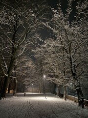 nature, snow, snowy landscape, natural, light, romance, on a walk, white road, road, stomas, white, winter, frost, virgin nature,

