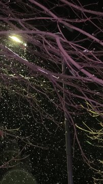 abstract light trails. Evening street in winter. It's snowing
A mesmerizing shot of heavy, thick snowflakes falling rapidly at night. The snow is brightly illuminated by the sharp, concentrated light 