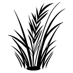 Obraz premium Vector illustration of green wheat ears and organic grass leaves isolated on white nature background for agriculture and floral design
