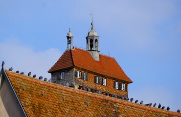 Tauben auf dem Dach