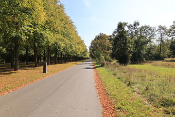 Sonniger Herbsttag in einem Landschaftspark in Hannover	
