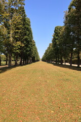 Sonniger Herbsttag in einem Landschaftspark in Hannover	