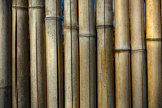 Bambu' Pattern Staccionata