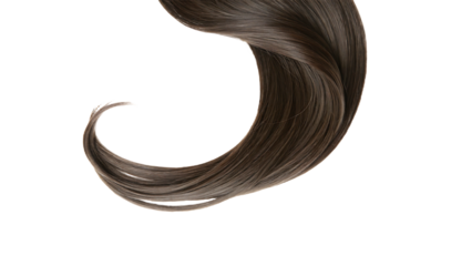 Brown hair strand curl isolated on a transparent background isolated on white background hair texture
