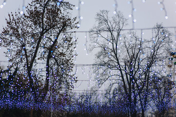 Photograph, background of hanging purple glowing lamps, garlands against the background of trees, sky on a winter evening.