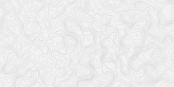 Black and White Terrain Height Map Illustration with Organic Flowing Lines
Seamless Topographic Background Pattern in Outdoor Adventure Style