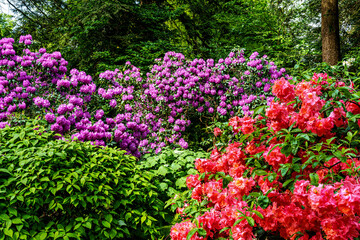 Obraz premium The Botanical Garden of Munich in Germany with garden pathes and topiary boxwood bushes on green meadows