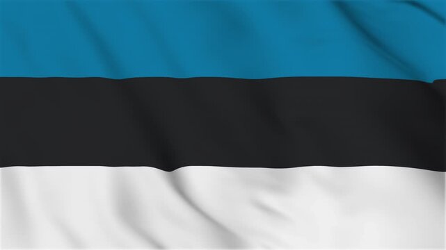 Waving national flag of Estonia. Waving flag of Estonia. The flag of Estonia. close up of Estonian flag blowing in the wind. Estonian flag loop.