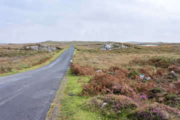 Fototapeta premium A desolate bog landscape with a body of water in the middle. The sky is cloudy and the grass is dry