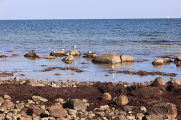 Sonniger Herbsttag in Boltenhagen an der Ostsee