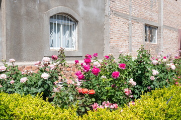 Fototapete bei efototapeten.de bestellen   