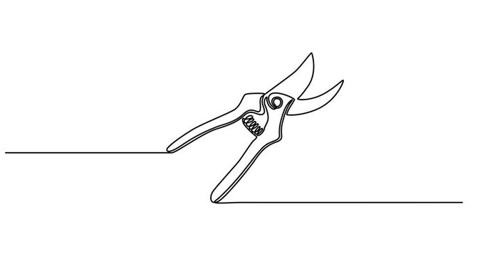 Animated self drawing of Continuous one line drawing of secateurs plant equipment. Plant scissors in single line draw , Editable Stroke,  cutting plier in silhouette sketch, 
