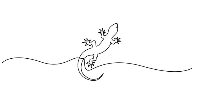 Abstract Lizard. Self drawing animation one continuous line draw, logo, Animated self drawing of world lizard day video design illustration. Animal world day themes design concept in simple linear