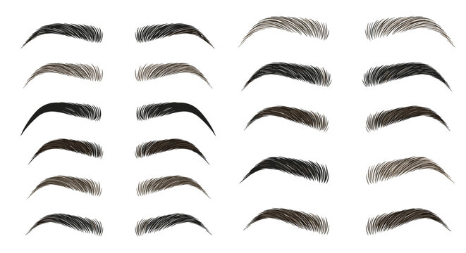 Selection of various eyebrow shapes and thicknesses shown in different colors from light brown to black for beauty and makeup grooming.