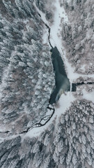 Drone Winter Landscape in Tara National Park
