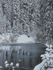 Winter Landscape with Lake in Tara National Park