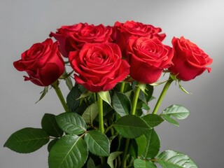 a bouquet of red roses with green leaves on a gray background