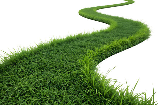 A lush winding grass path curving into the distance on an isolated black background isolated on transparent background
