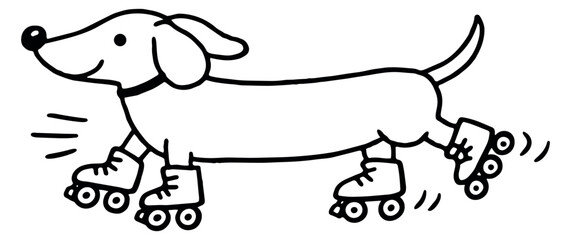 Obraz premium Hand drawn line art illustration of a dachshund dog depicting roller skating for playful pet content