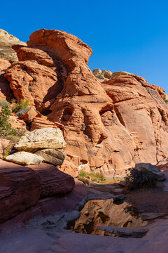 Vibrant red and white sandstone formations line the Calico Tanks Trail at Red Rock Canyon near Las Vegas. The moderate path winds through narrow canyons and rocky stairs, leading to a hidden natural w