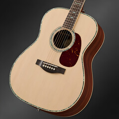 Title: A detailed of a cuttlefish with a spear-like appendage and tentacles